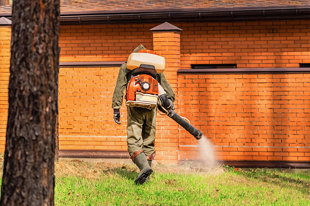 Trusted Rodent Control service in Waynesburg, PA - Nex Pest Control
